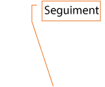 seguiment