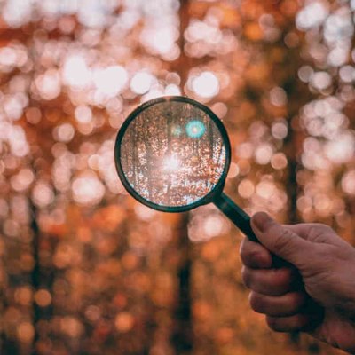 seguiment-i-avaluacio